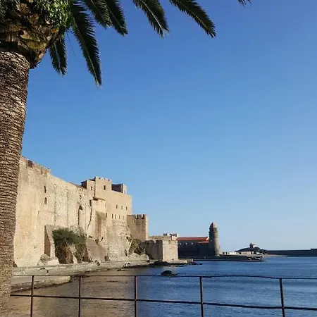4sap22 Climatisé Avec Double Terrasses Collioure